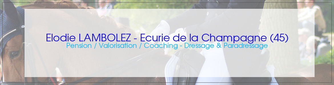 Elodie LAMBOLEZ - Ecurie de la Champagne (45)